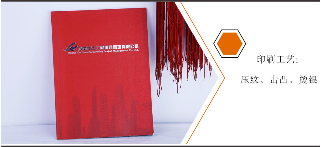 長(zhǎng)沙企業(yè)畫冊(cè)制作公司